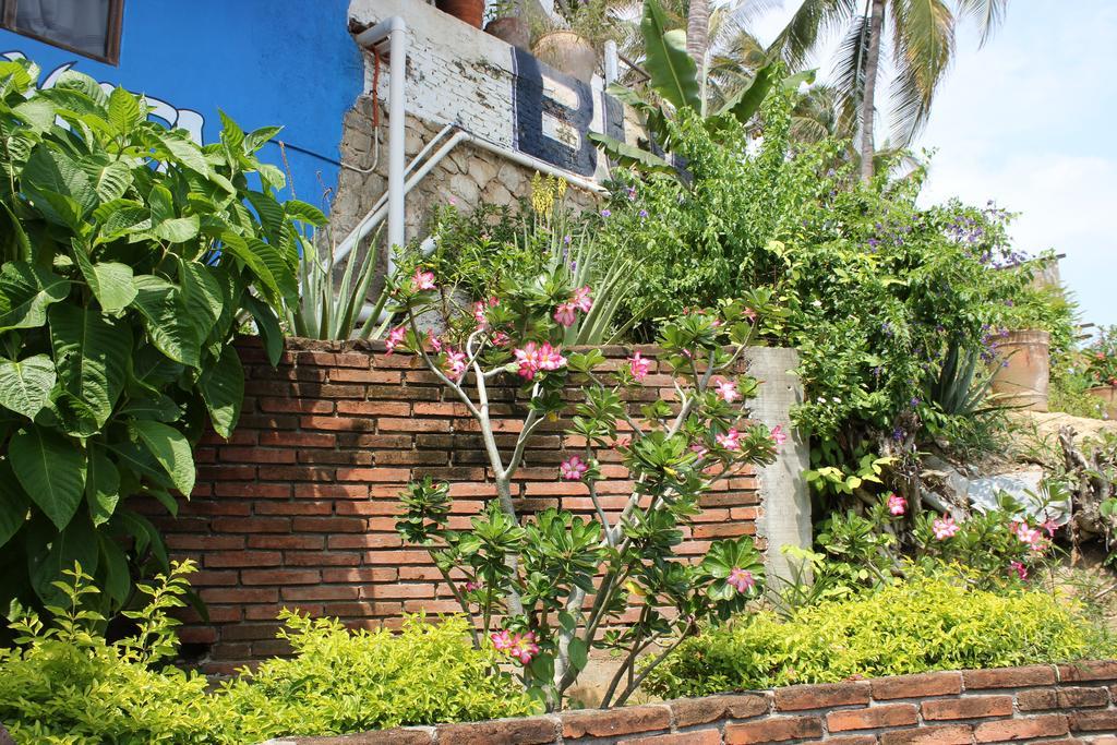 Hotel Buena Vista Puerto Escondido  Exterior foto